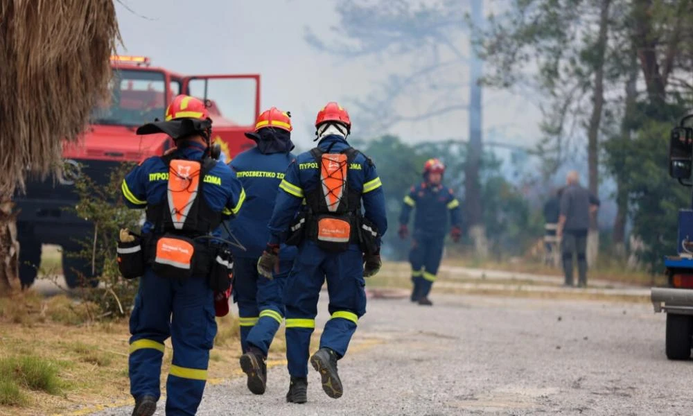 Σε συναγερμό η Εύβοια: Φωτιά ξέσπασε κοντά στα Ψαχνά - Επι ποδός η Πυροσβεστική (βίντεο)